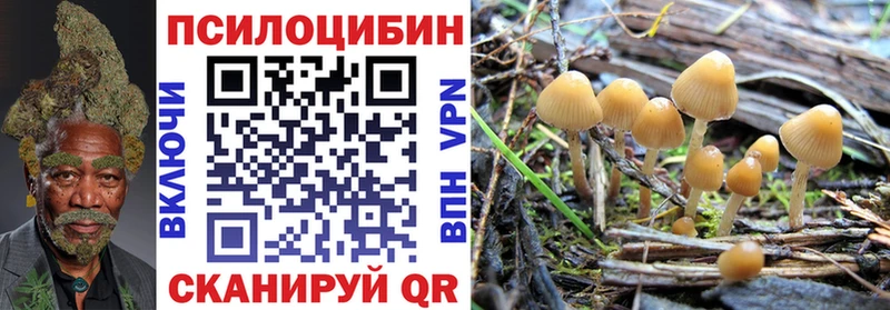 Купить закладки  Бородино  Галлюциногенные грибы MAGIC MUSHROOMS 